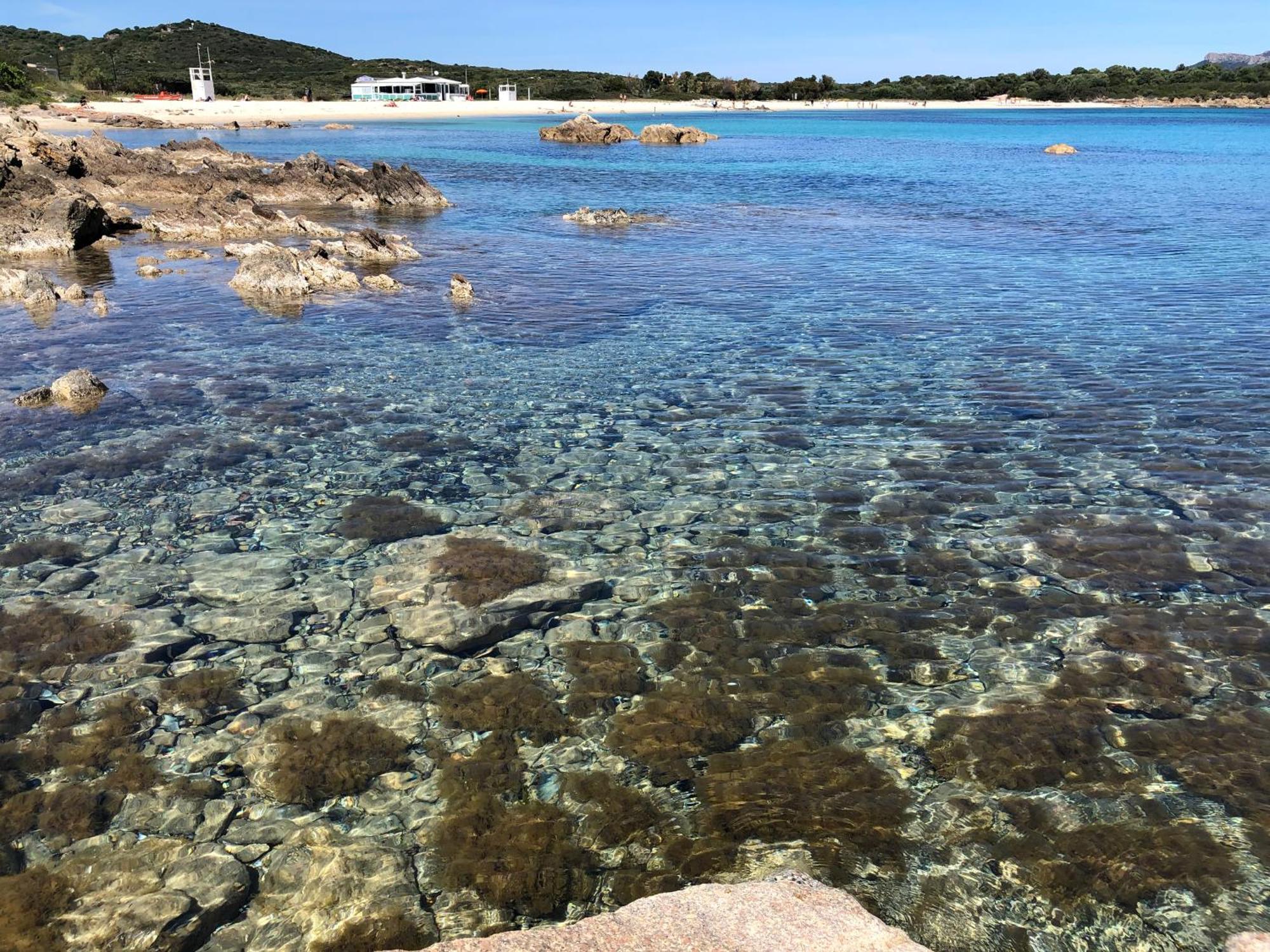 Bados Olbia